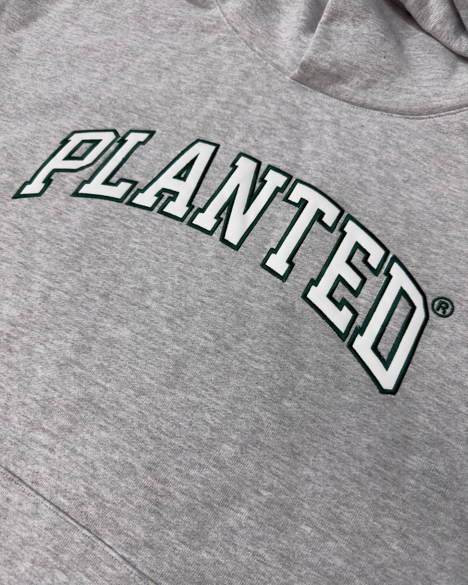 PLANTED VARSITY APPLIQUE HOODIE